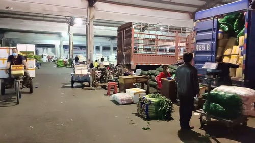 東莞特色商貿(mào)市場之12,莞城細(xì)村市場,市區(qū)蔬菜交易集散地