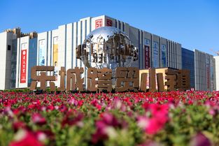 石家莊樂城領(lǐng)跑智慧商貿(mào)產(chǎn)業(yè)集群,促進(jìn)商貿(mào)流通發(fā)展