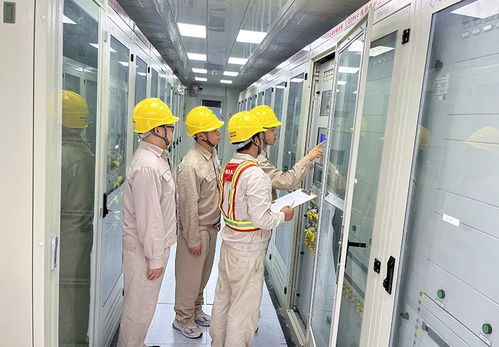 國網安岳縣供電公司 黨建帶團建賦能 人工搬運服務助力重大項目建設