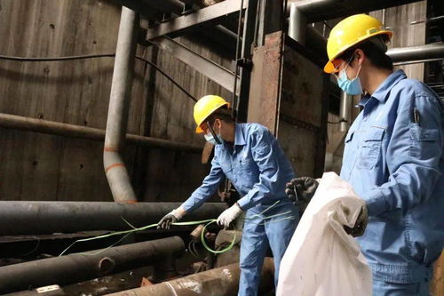 青春在檢修現場閃光 公司機關青年突擊隊助力裝置大修，以擔當詮釋責任